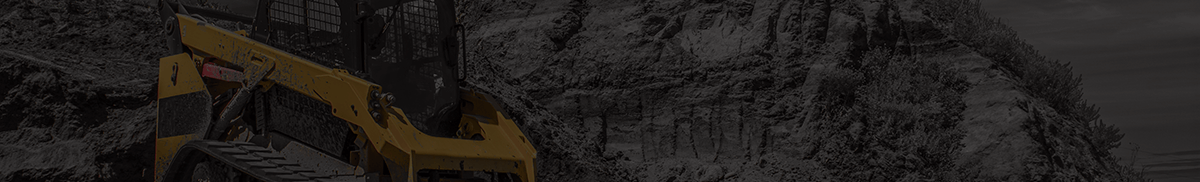 BKBC Skid Steer